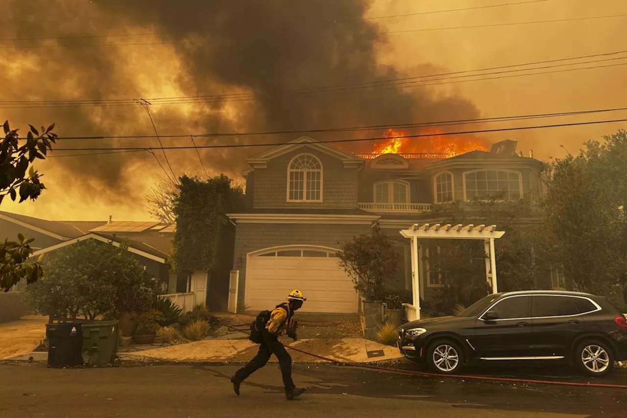 Fierce Winds Fuel Fast-Moving Wildfire in Los Angeles Hills