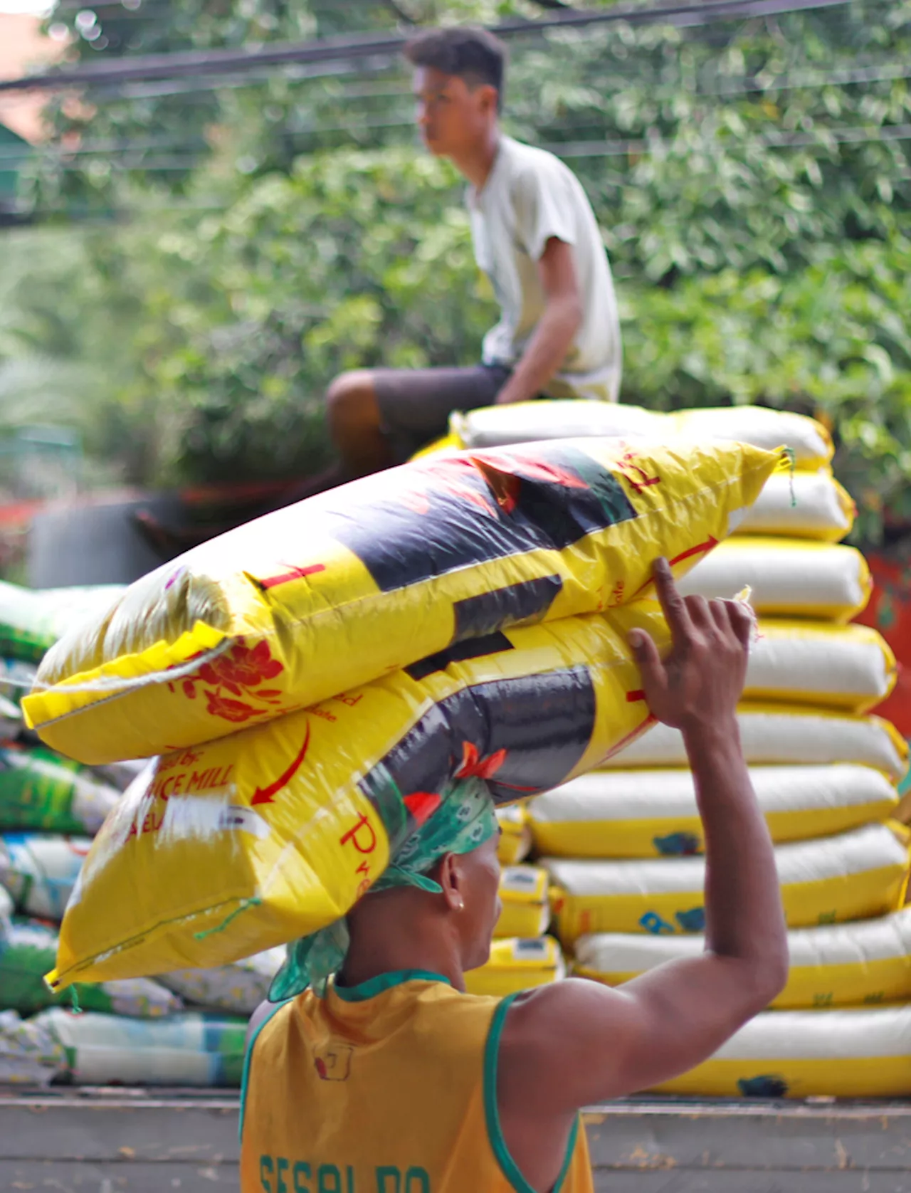 Philippines Sees Two-Year High in Rice Stockpiles