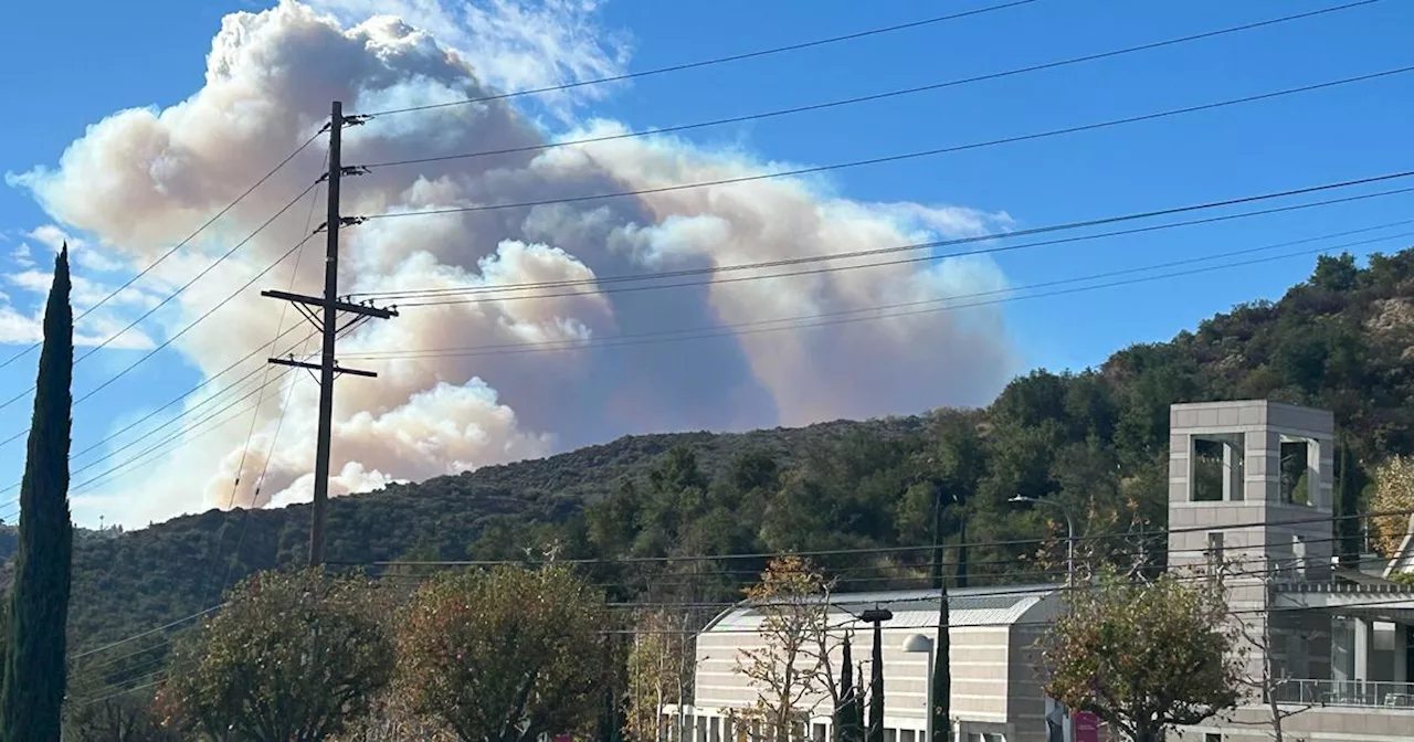 Life-Threatening Winds Fuel Brush Fire in Pacific Palisades, Southern California