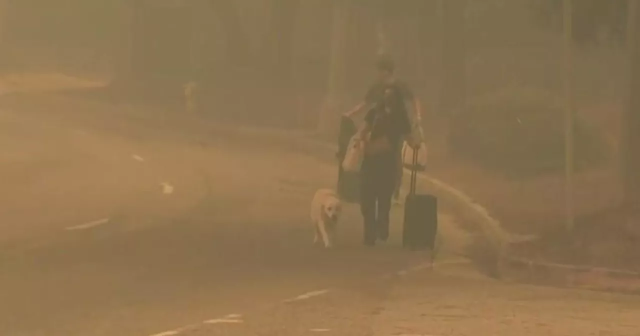 Pacific Palisades Wildfire Forces Evacuations Amid Destructive Winds