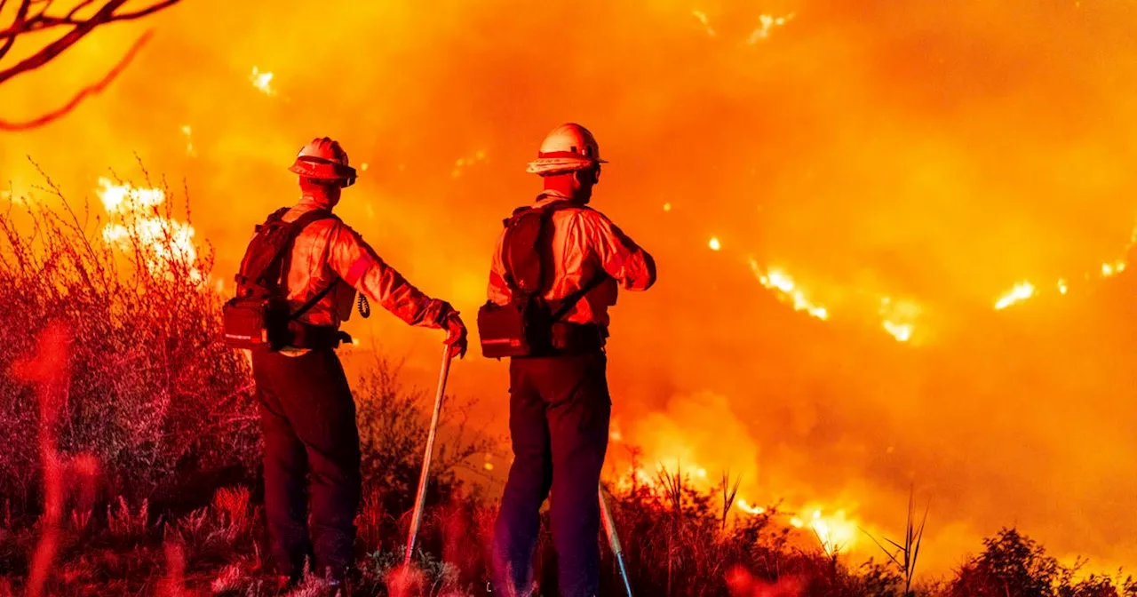 Southern California Braces for Strong Winds, Risk of Wildfires