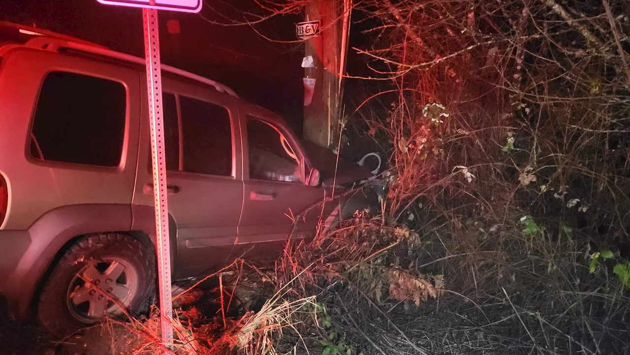 Drunk Driver 'Lucky to Be Walking' After Crashing SUV into BC Hydro Pole