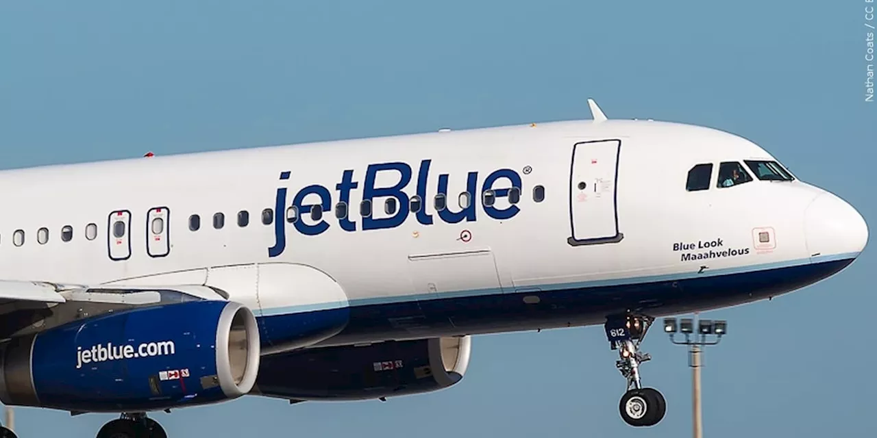 2 bodies found in the wheel well of a JetBlue plane