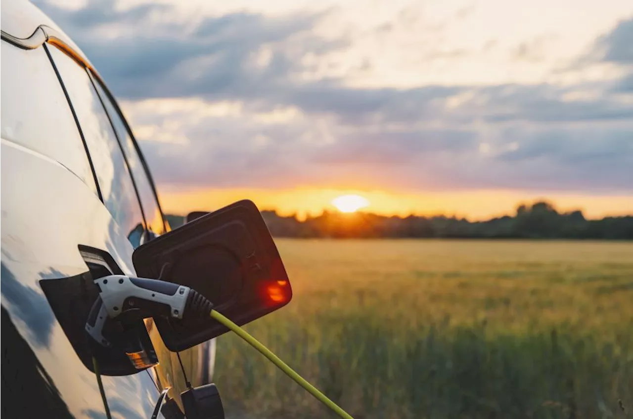 A Disrupção Elétrica: Indústria Automobilística em Impasse