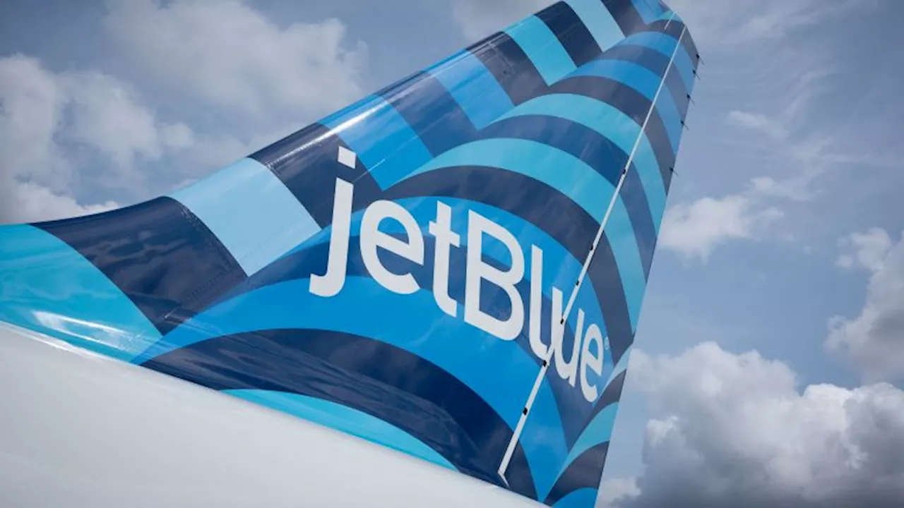 Two Bodies Found in JetBlue Plane's Wheel Well