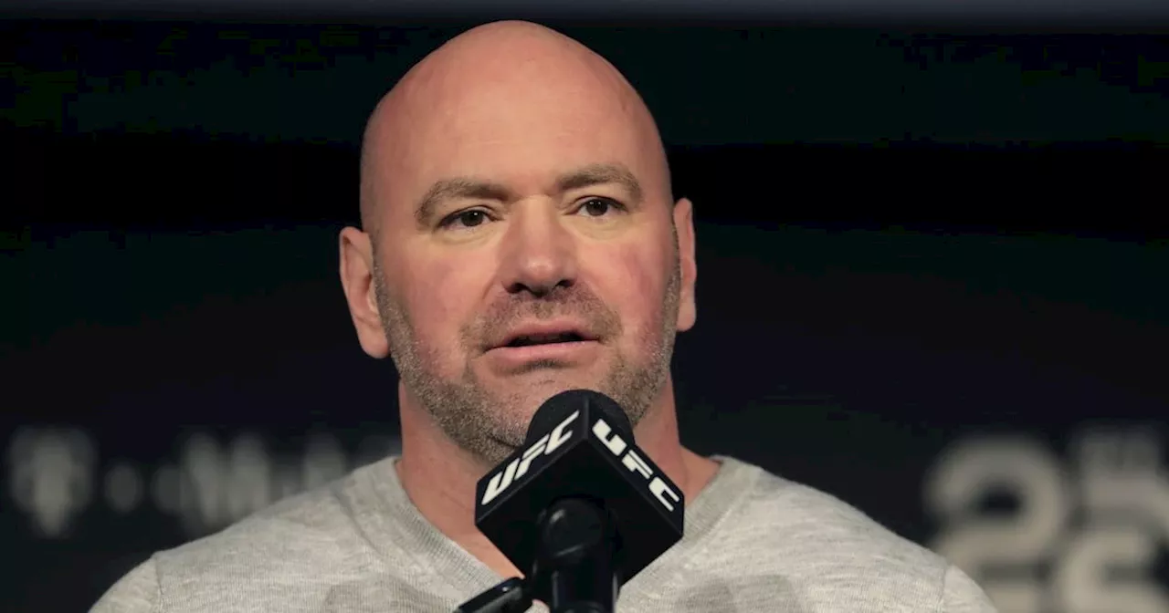 Meta Appoints Dana White to Board Amid Trump Ties