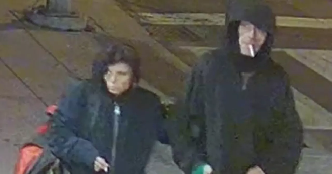 Toronto Police Seek Two Suspects in Connection With Six New Year's Eve Break-Ins