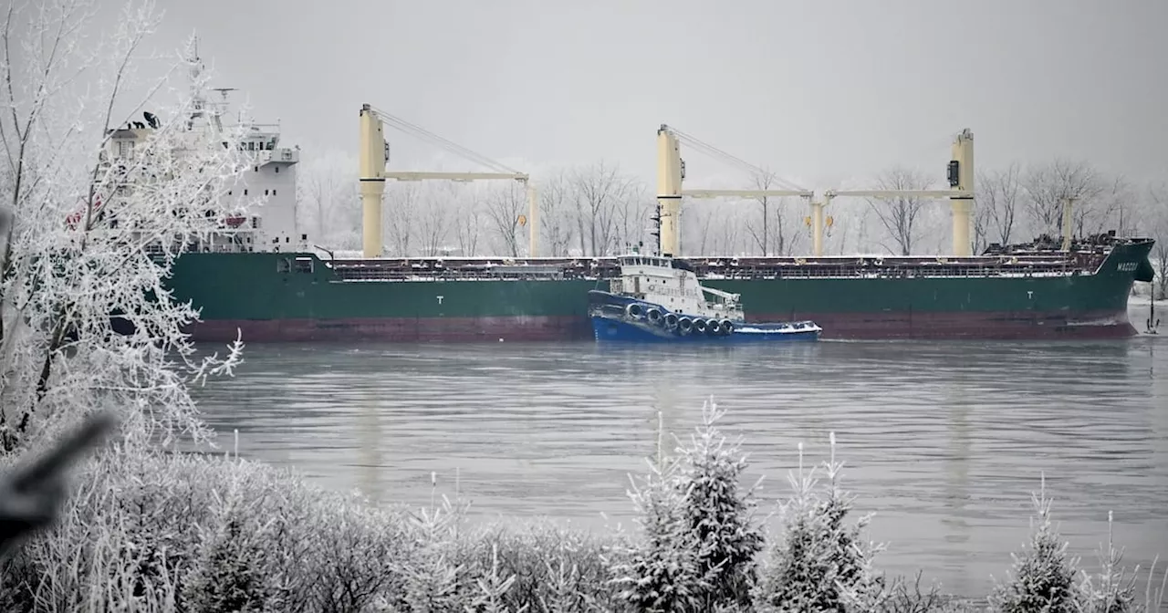 Tugboats Attempt to Free Cargo Ship Stuck in St. Lawrence River