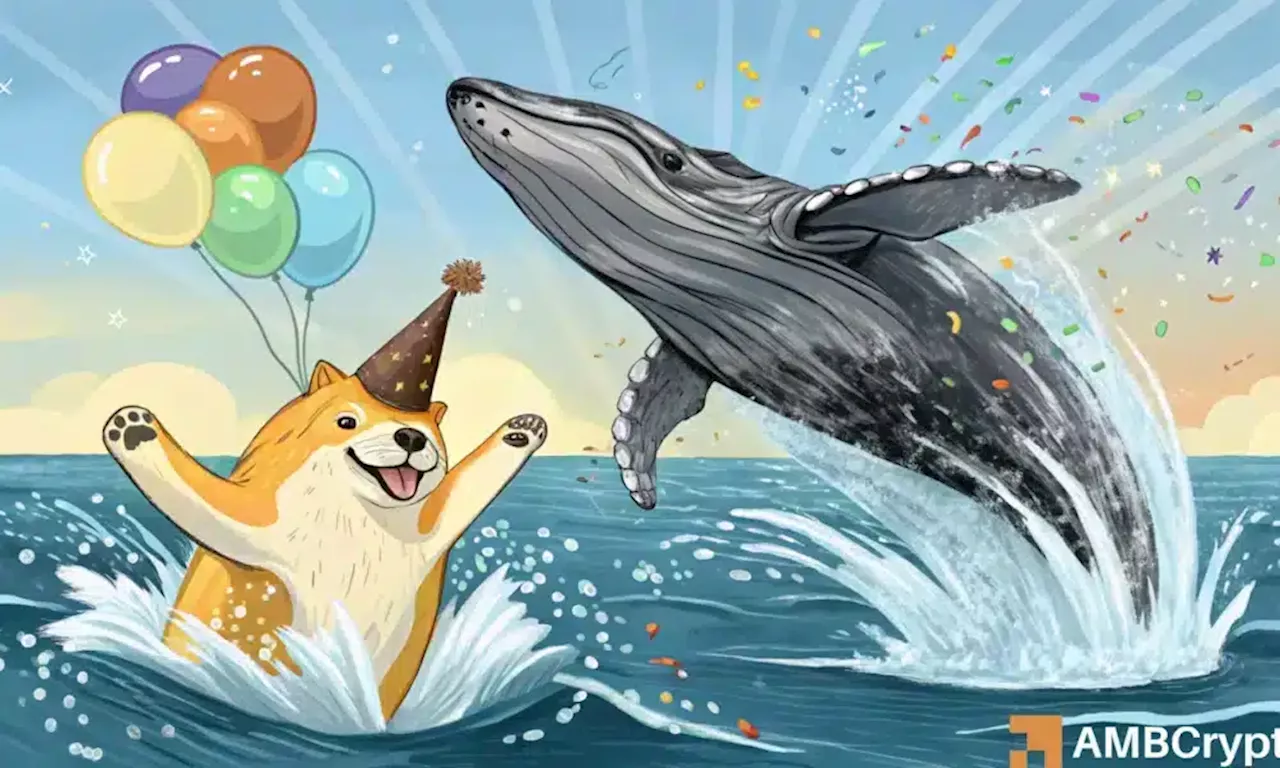 Dogecoin Sees 400% Surge in Whale Transactions, Price Up 18%