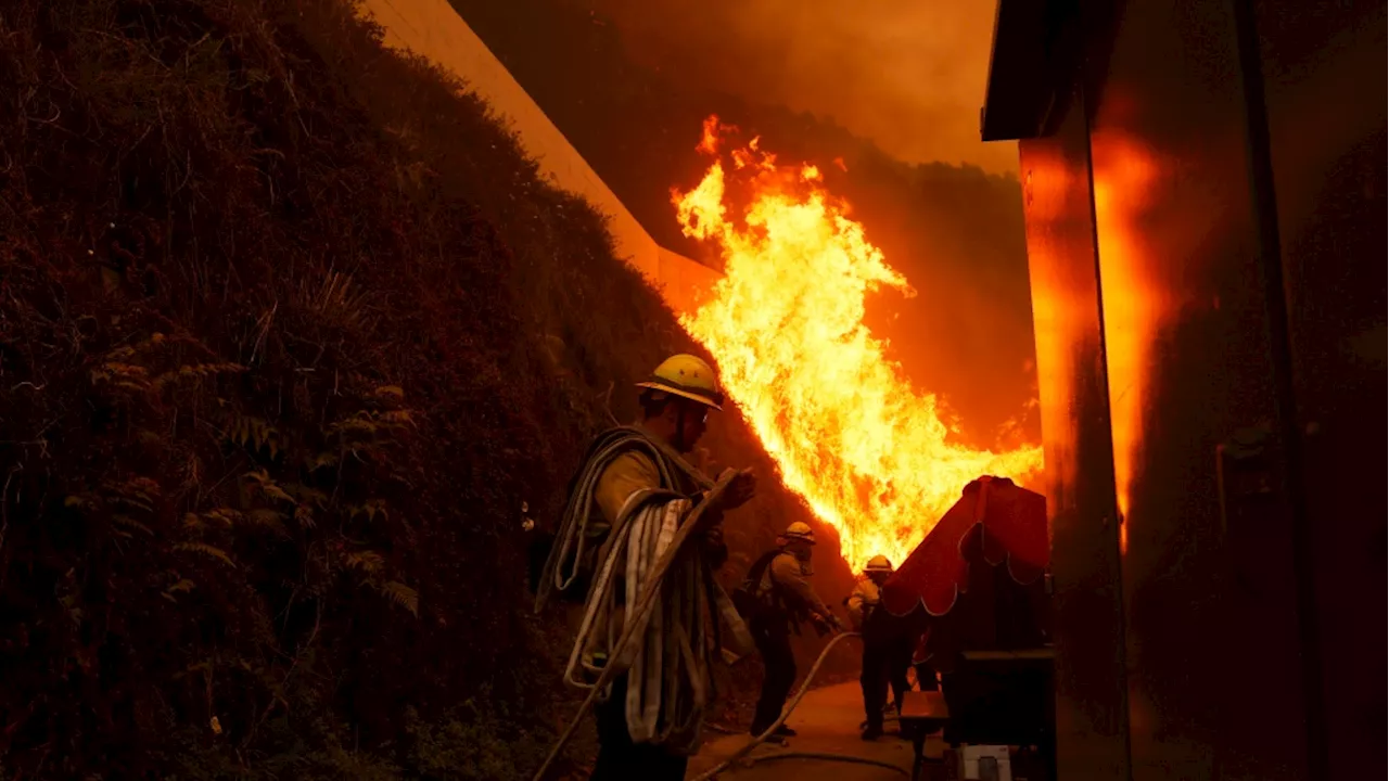 Wildfire Rips Through Los Angeles Hills, Forcing Evacuations