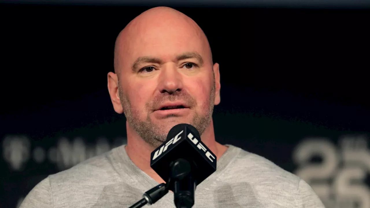 Meta adds three board members including UFC boss Dana White, key figure in Trump's orbit