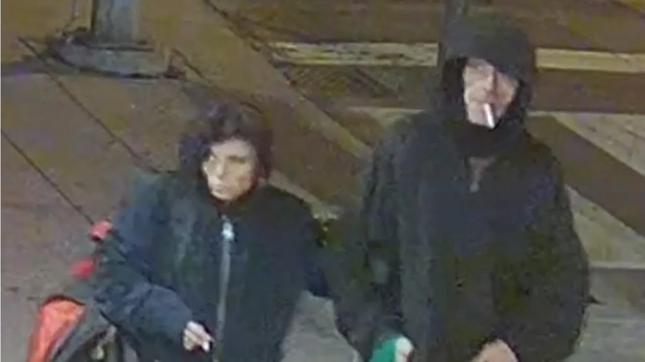 Toronto Police Seeking Two Suspects in Connection with Six New Year's Eve Robberies