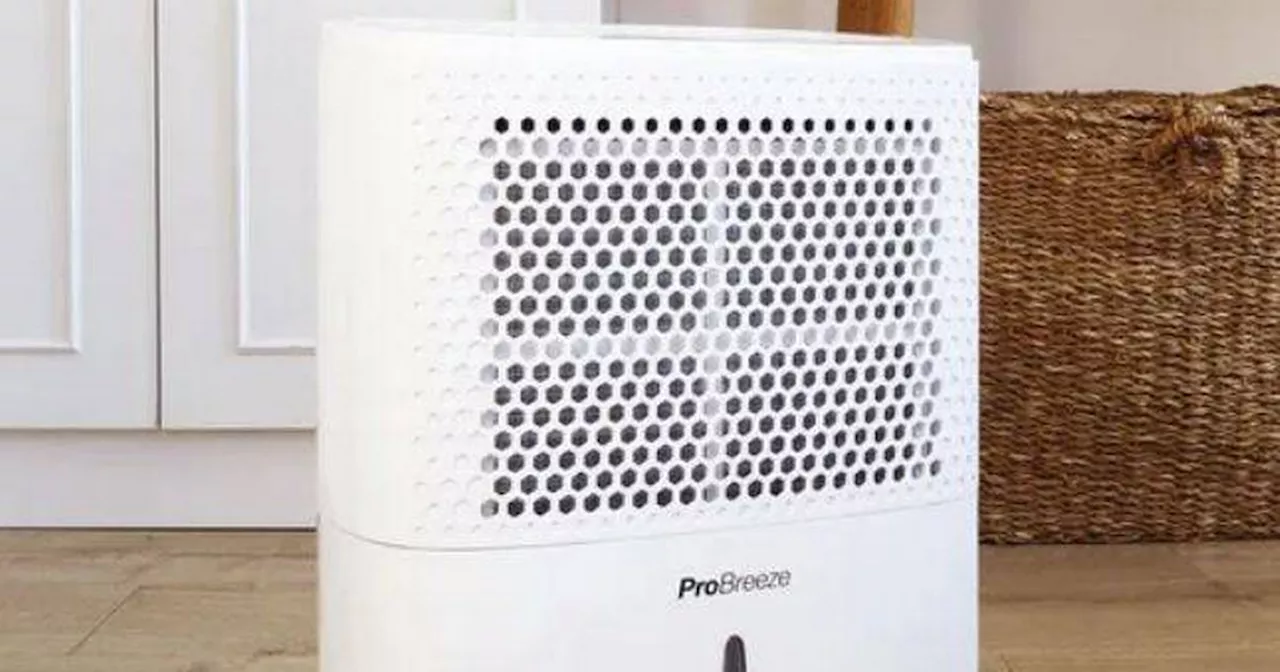 Debenhams dehumidifier that 'clears out mould' now under £100 after price slash