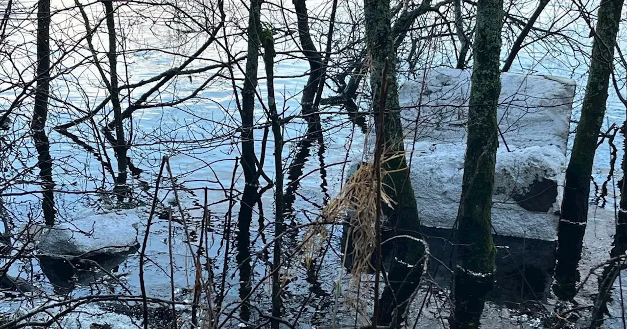 Loch Lomond Clean Up After Festive Weather Debris