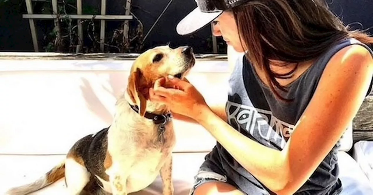 Meghan Markle Pays Heartfelt Tribute to Late Rescue Dog Guy