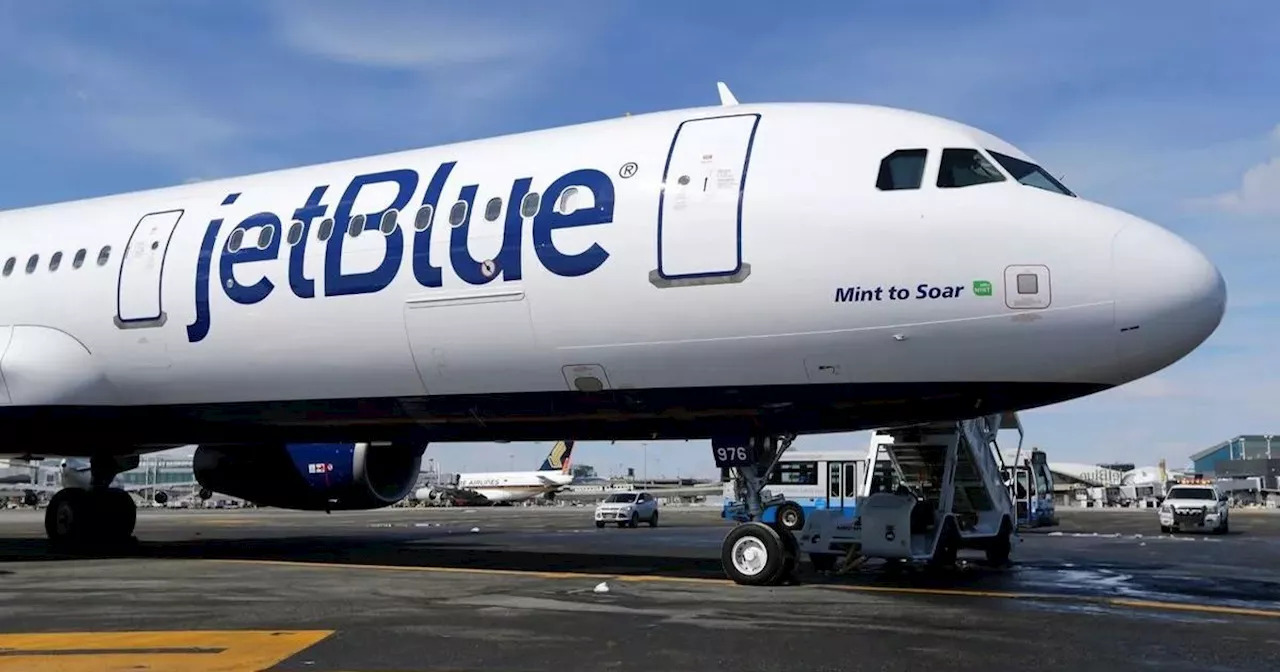 Two Bodies Found in JetBlue Landing Gear After Florida Landing