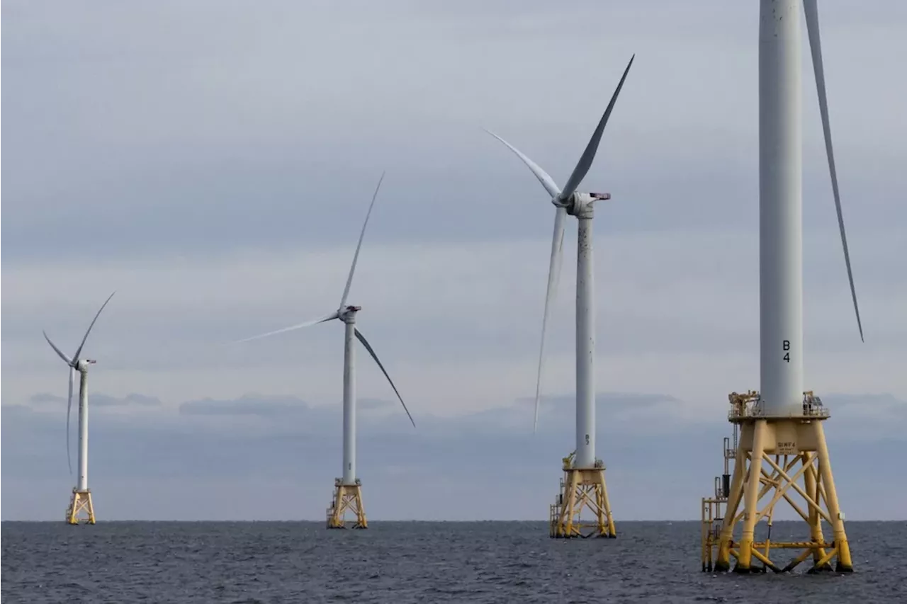 Offshore Wind Project's Noise Levels Deemed Excessive by Independent Analysis