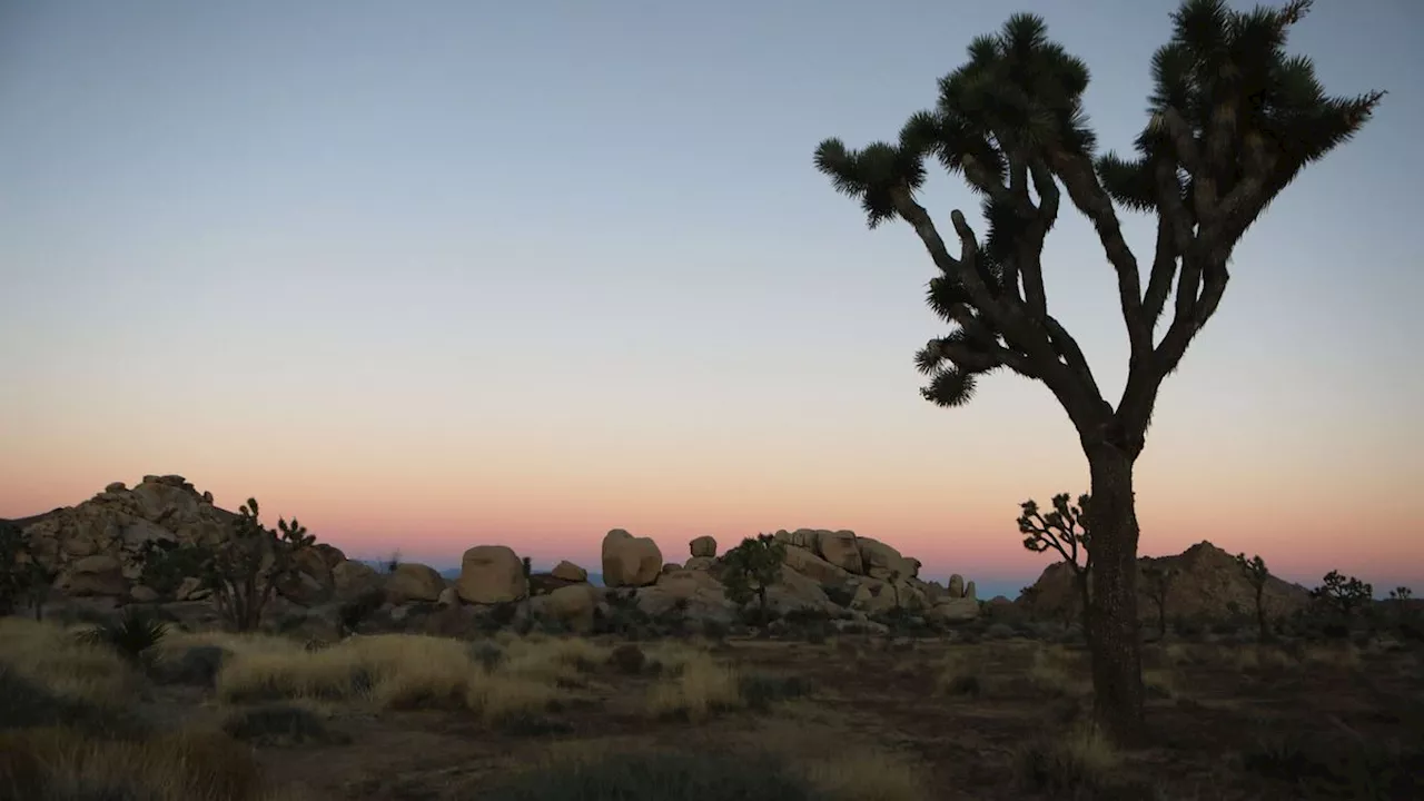 In Kalifornien: Biden ruft zwei neue National Monuments aus