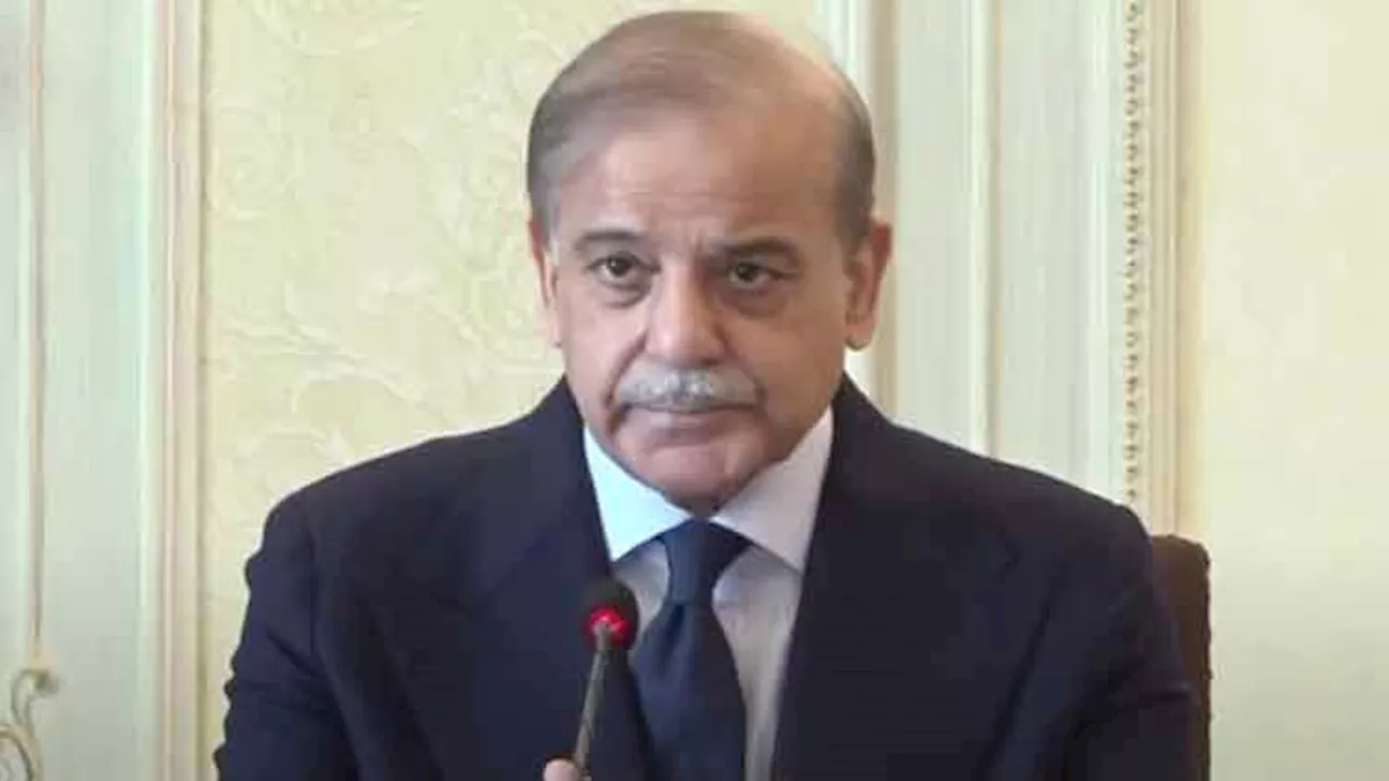 UAE rolls over 2bn dollars Pakistan debt, says PM Shehbaz