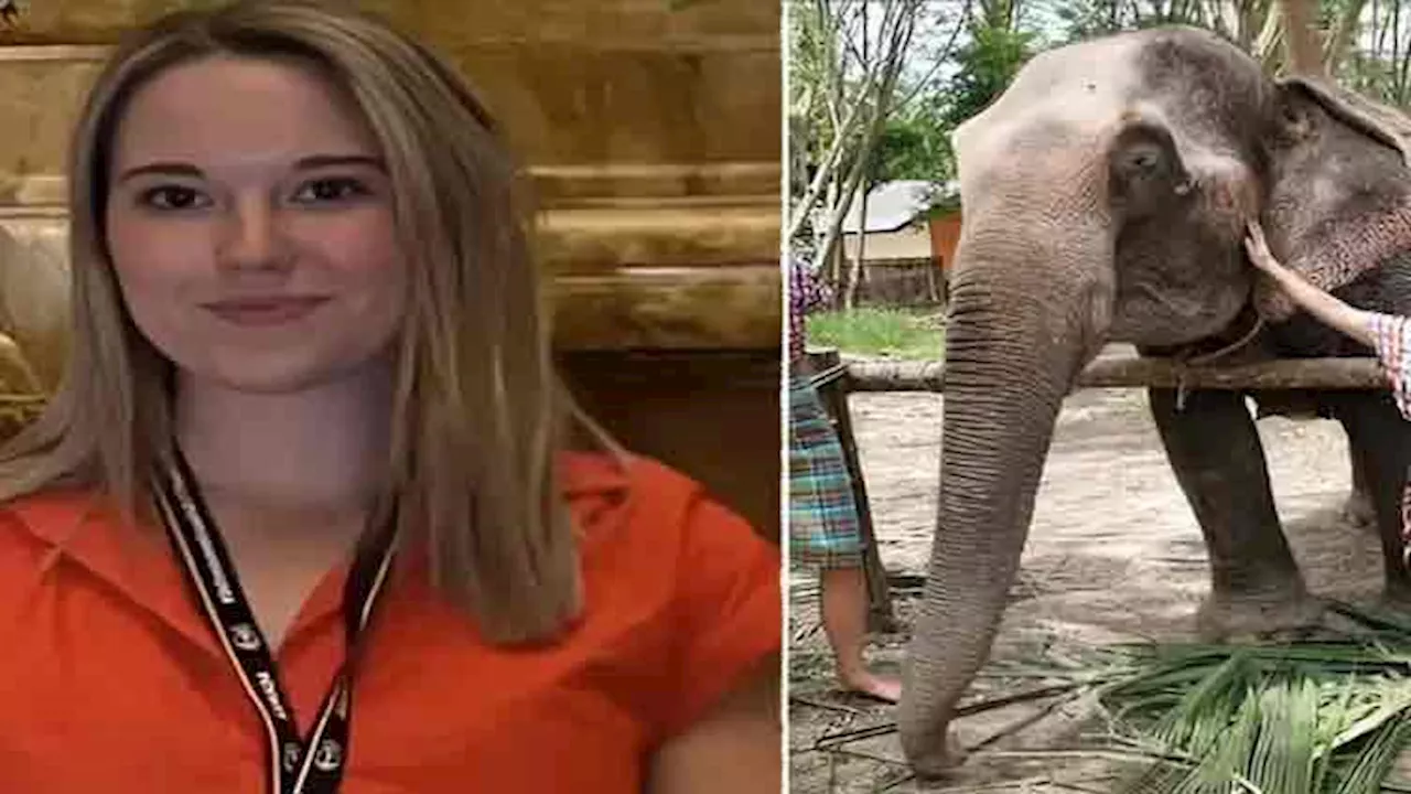 When elephant in Thailand zoo killed by stressed elephant