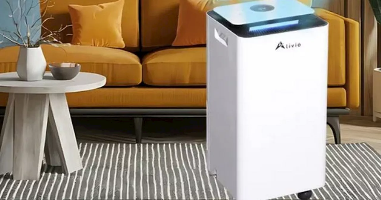 Debenhams shoppers snap up reduced 'whisper quiet' dehumidifier