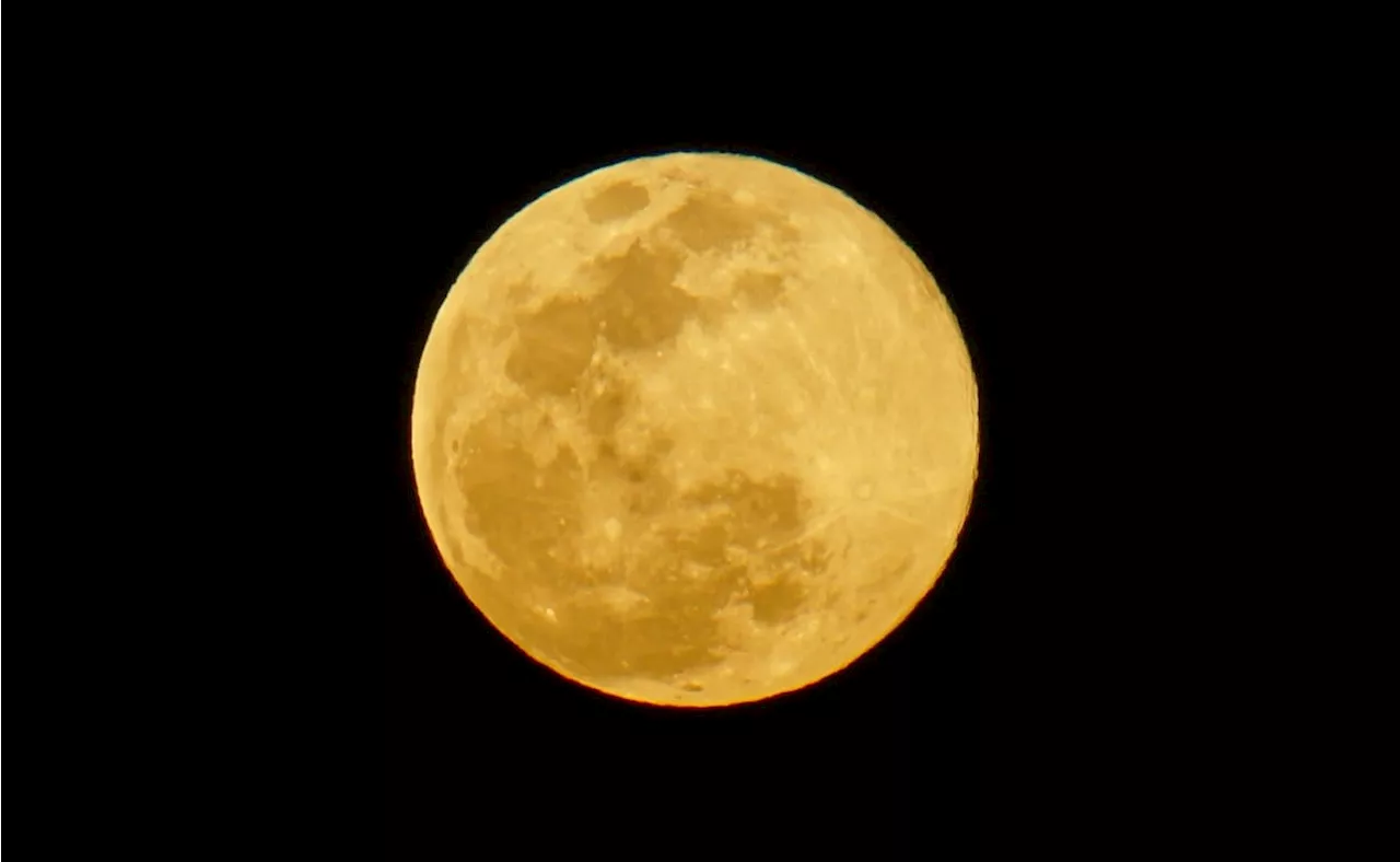 La Luna de Lobo Iluminará los Cielos Nocturnos