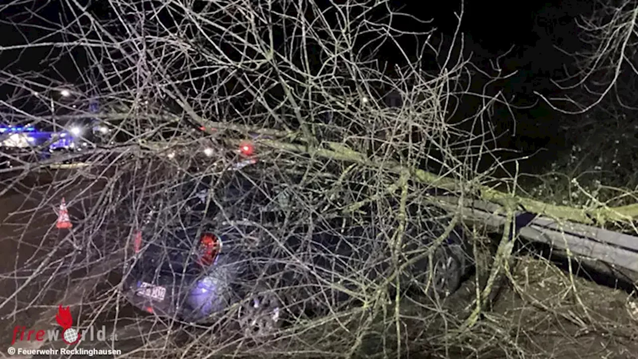 Sturm in Recklinghausen: Feuerwehr mit zahlreichen Einsätzen beschäftigt