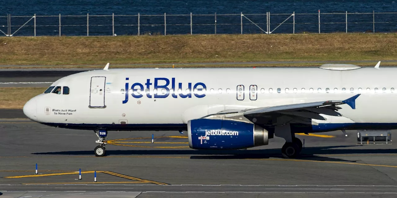 Leichen in JetBlue-Fahrwerk gefunden: Schock in Florida