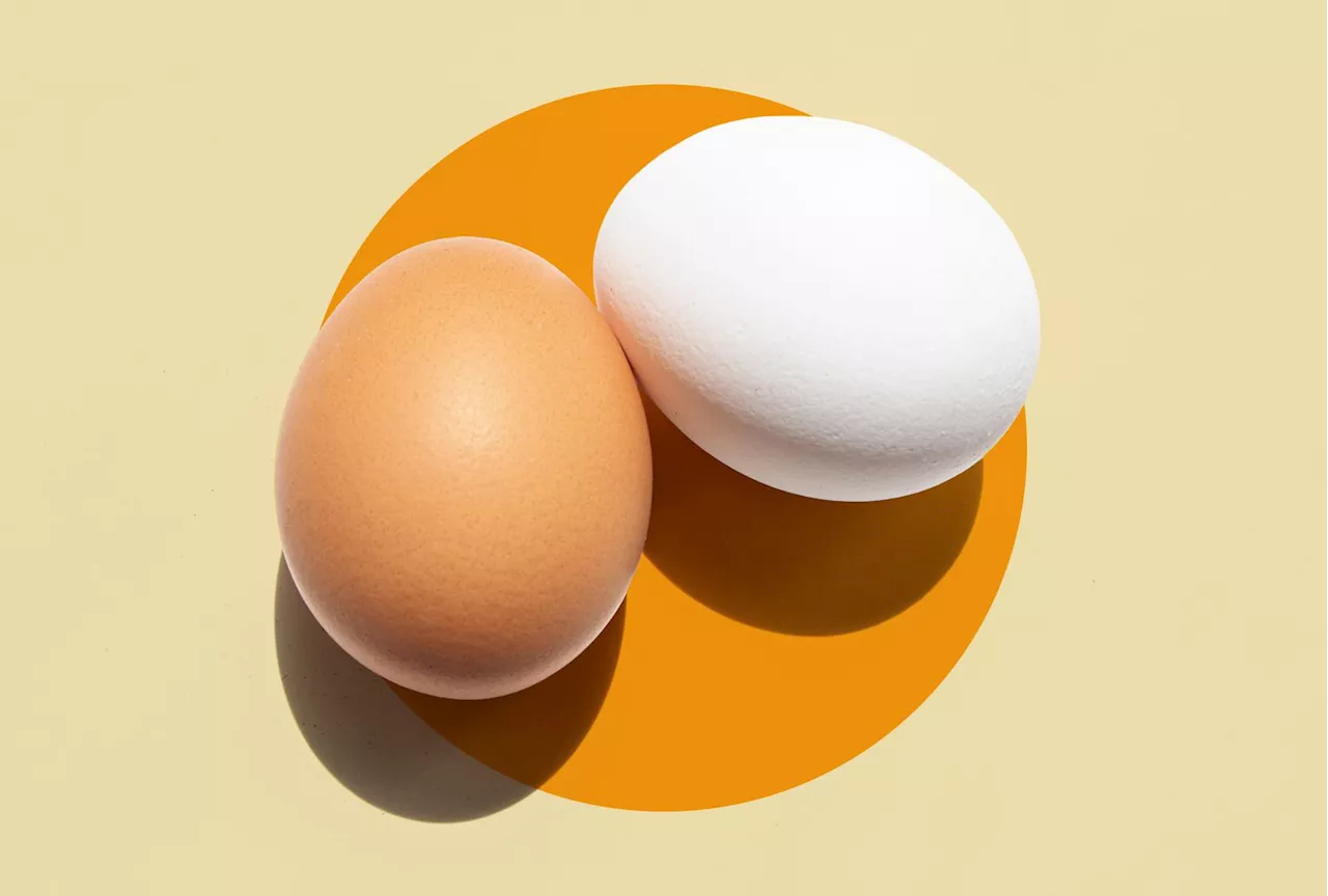 Why Are Some Eggs Brown, Blue, and Others White?