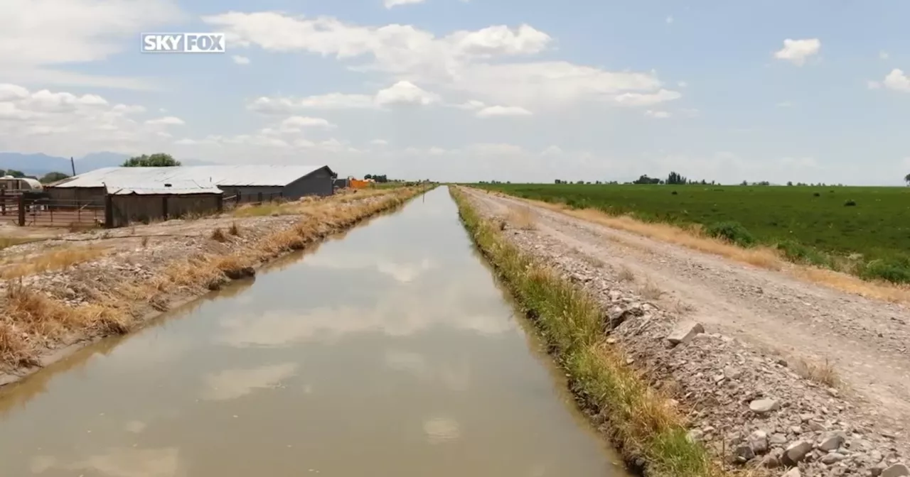 Study Calls for Alfalfa and Hay Cuts to Save Utah's Great Salt Lake