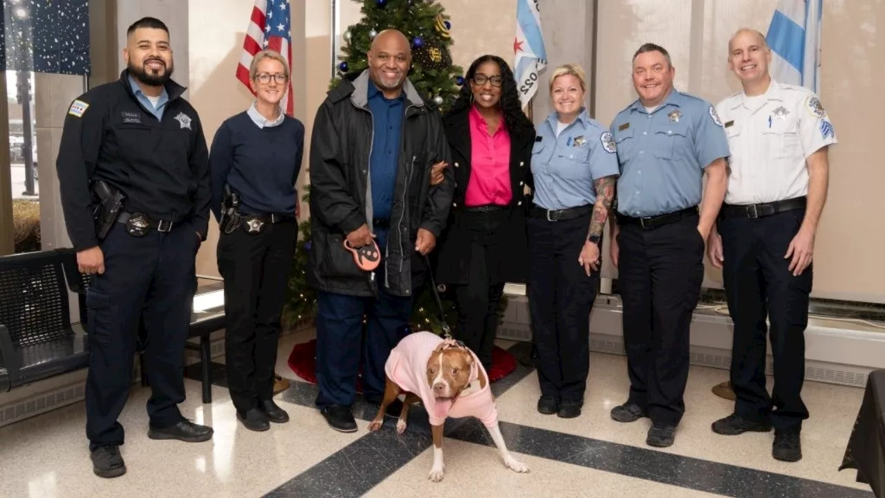 Stolen Service Dog Returned Home Safely