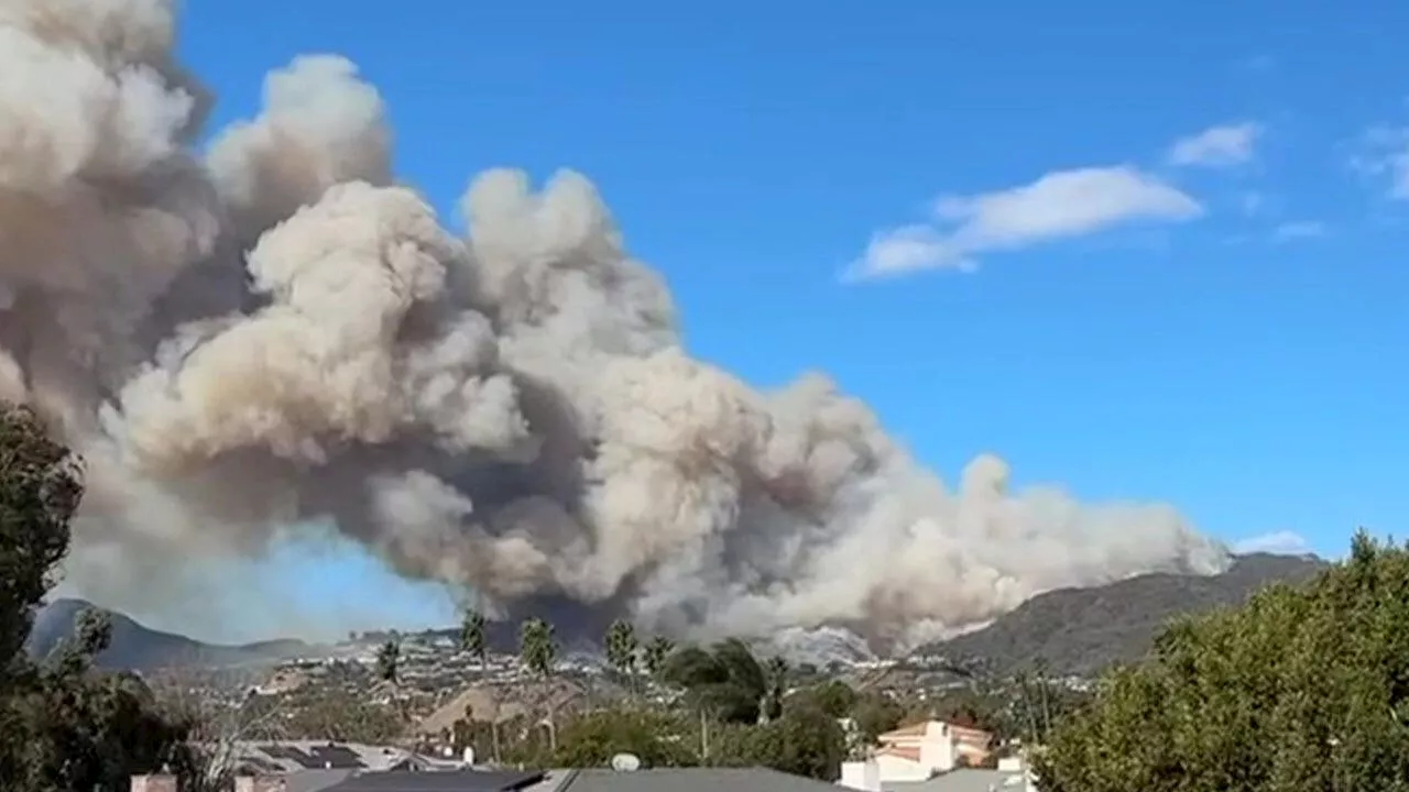 Brush Fire Forces Evacuations in Pacific Palisades Amid Strong Winds