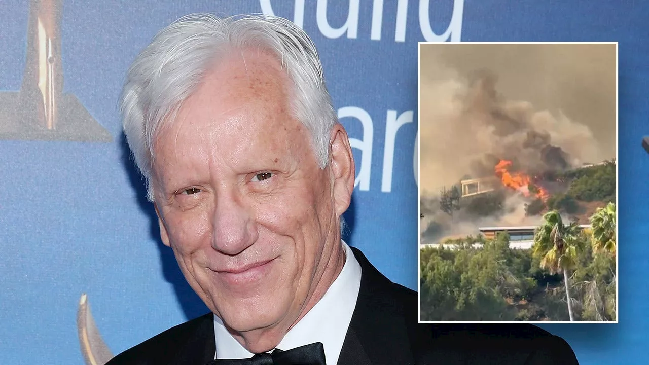 James Woods Evacuates Home as Palisades Fire Rages in Los Angeles