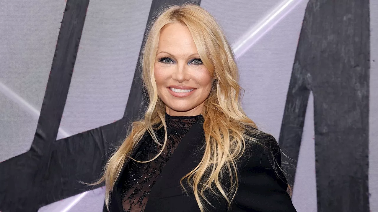 Pamela Anderson Mistaken for Dixie Chick, Nearly Attacked on Plane