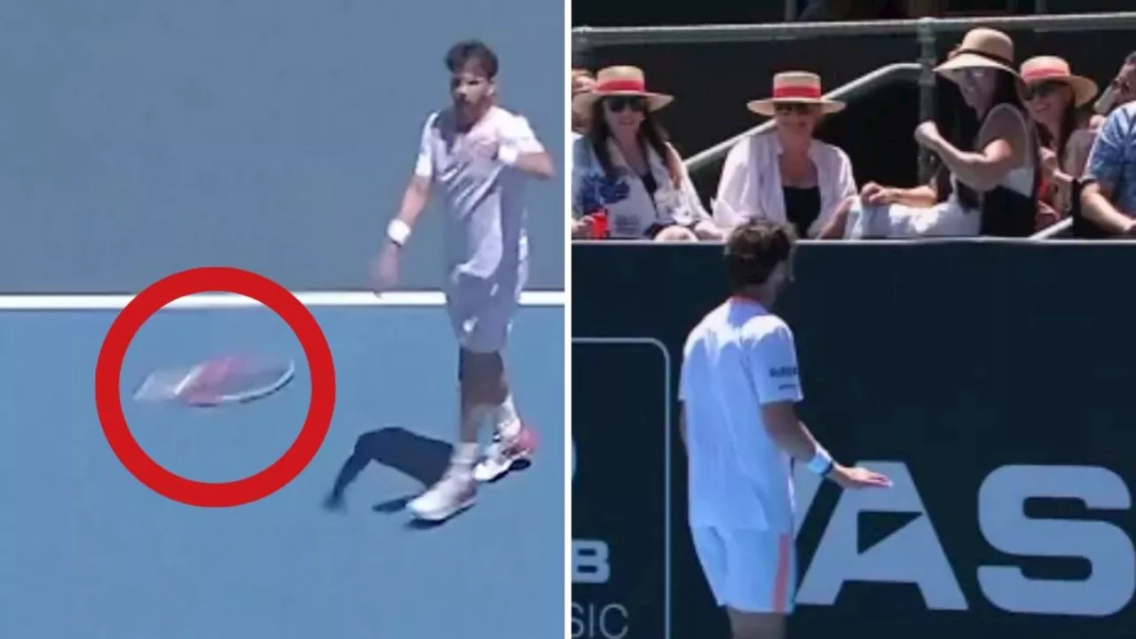 ‘Should have been disqualified’: Tennis star says sorry for tossing racquet at spectator