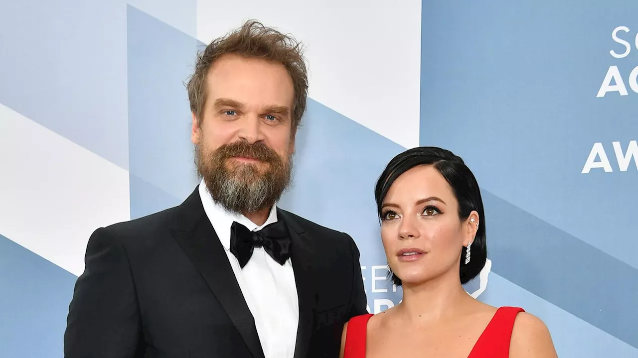 Lily Allen Entdeckt David Harbour auf Dating-App 'Raya'