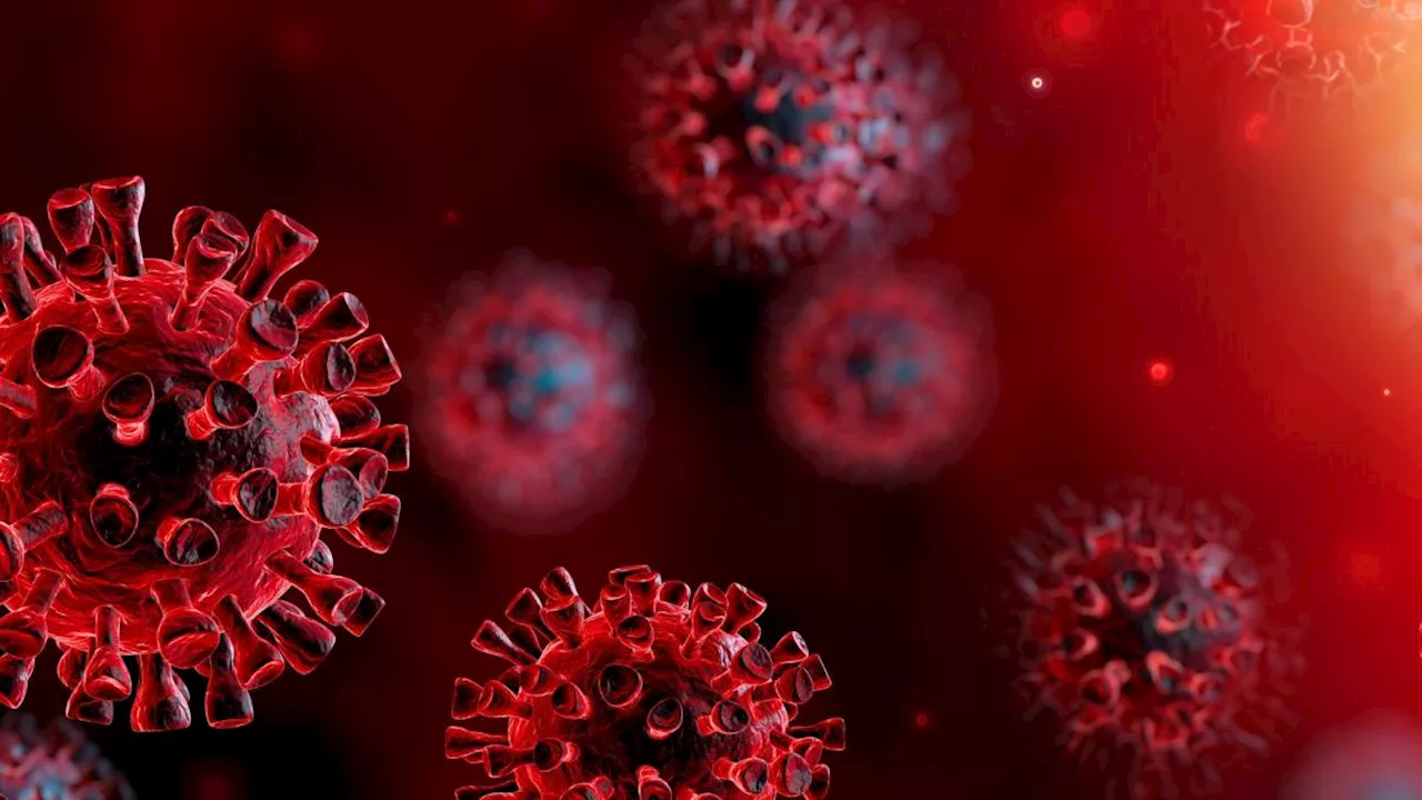 Allerta in Cina per aumento di casi di metapneumovirus umano