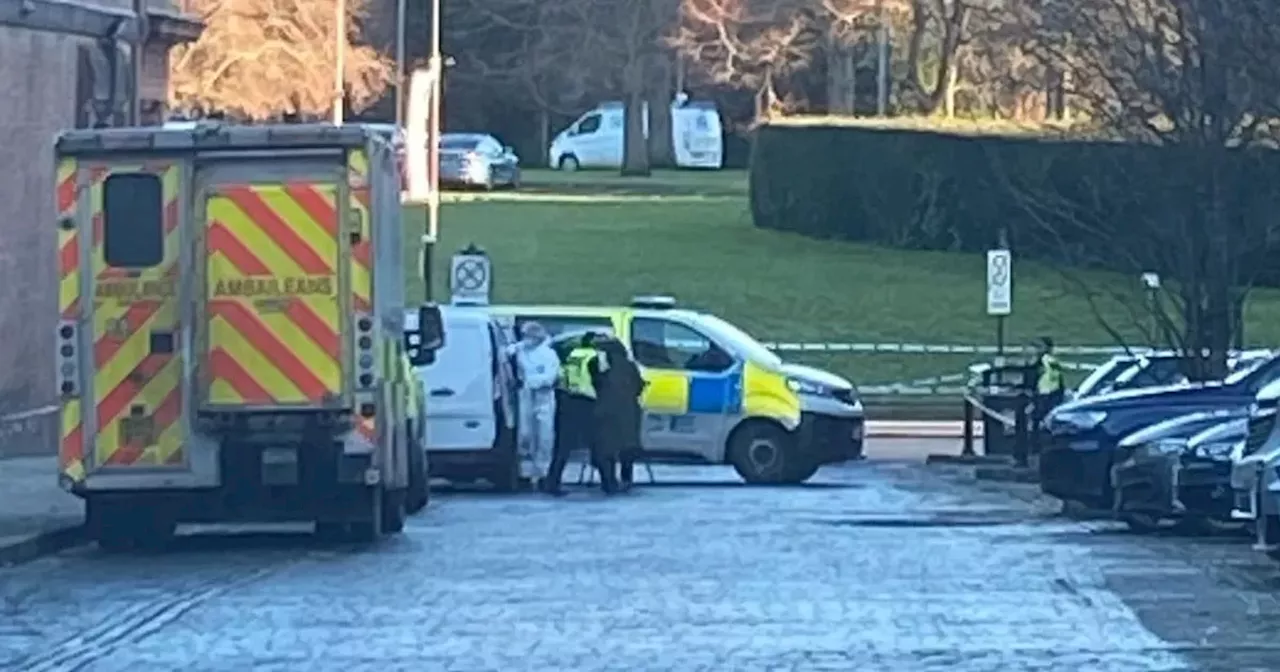 Forensics on Glasgow Argyle Street as pensioner and two others injured in 'disturbance'