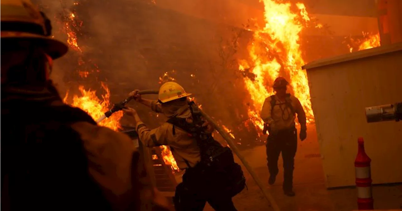 Palisades Fire Forces Evacuations as Windstorm Rages in Los Angeles