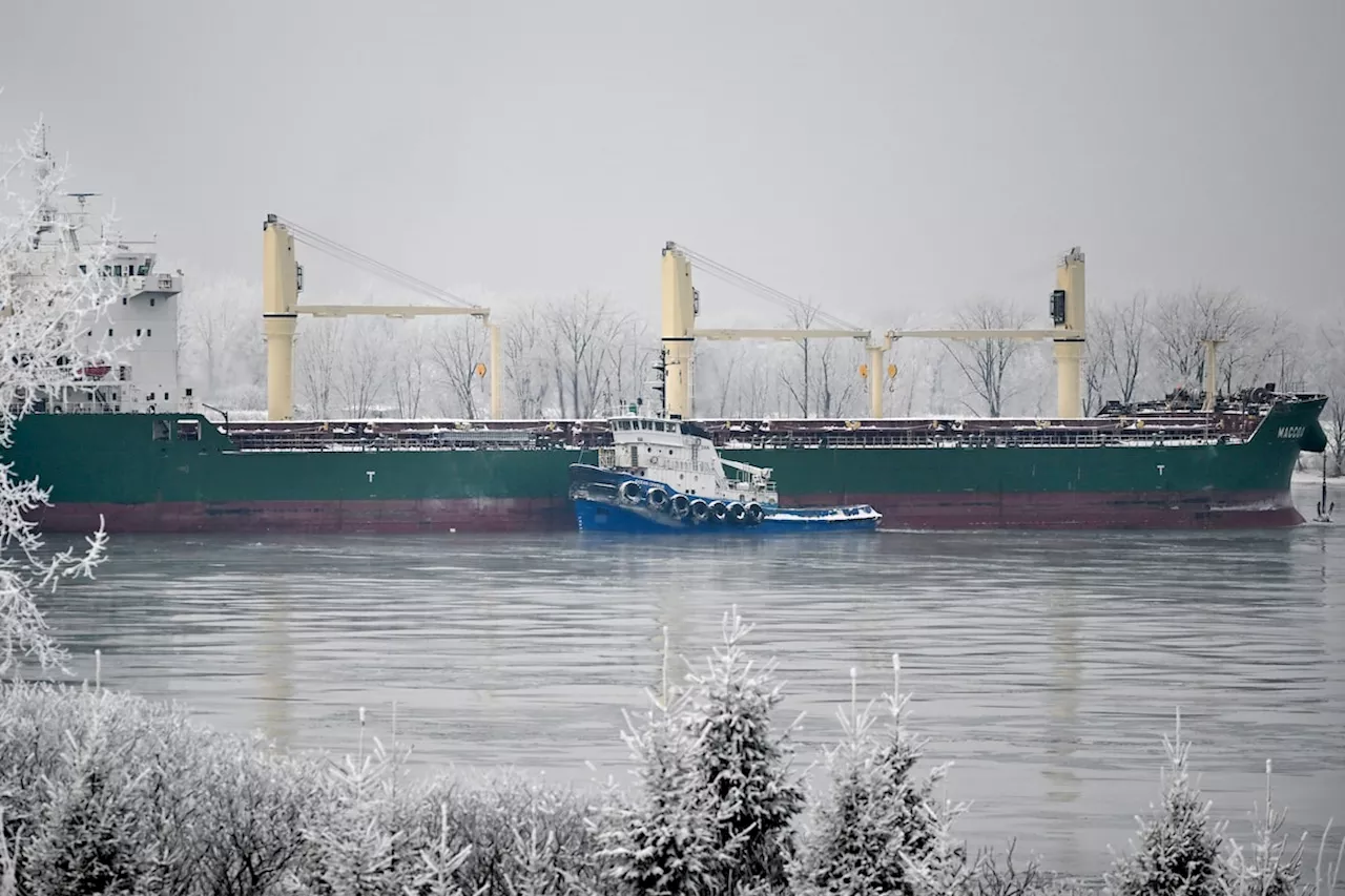 Tugboat Frees MV Maccoa After St. Lawrence River Grounding