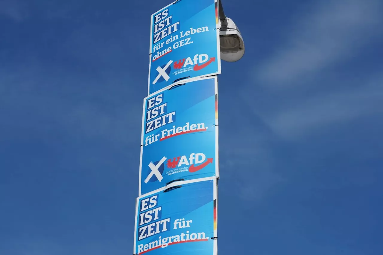 Umfrage-Schock: AfD legt zu, SPD stürzt