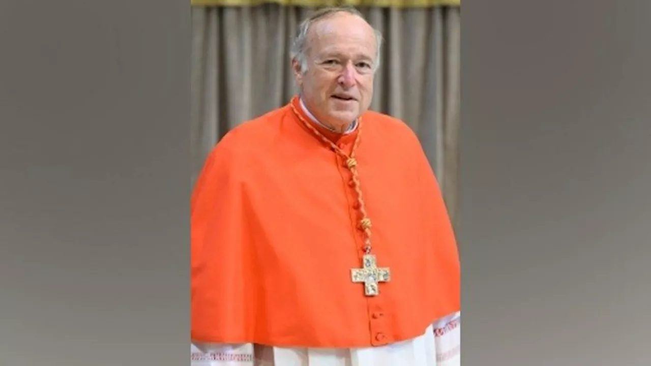 Cardinal McElroy appointed new Archbishop of Washington