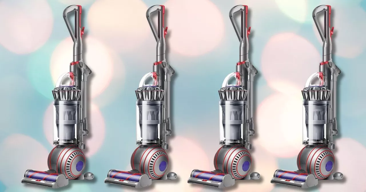 Dyson Animal Vacuum Cleaner: A Pet Lover's Dream