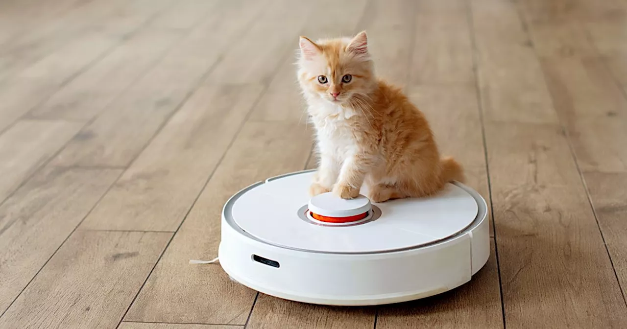 The Best Robot Vacuums for a Spotless Home