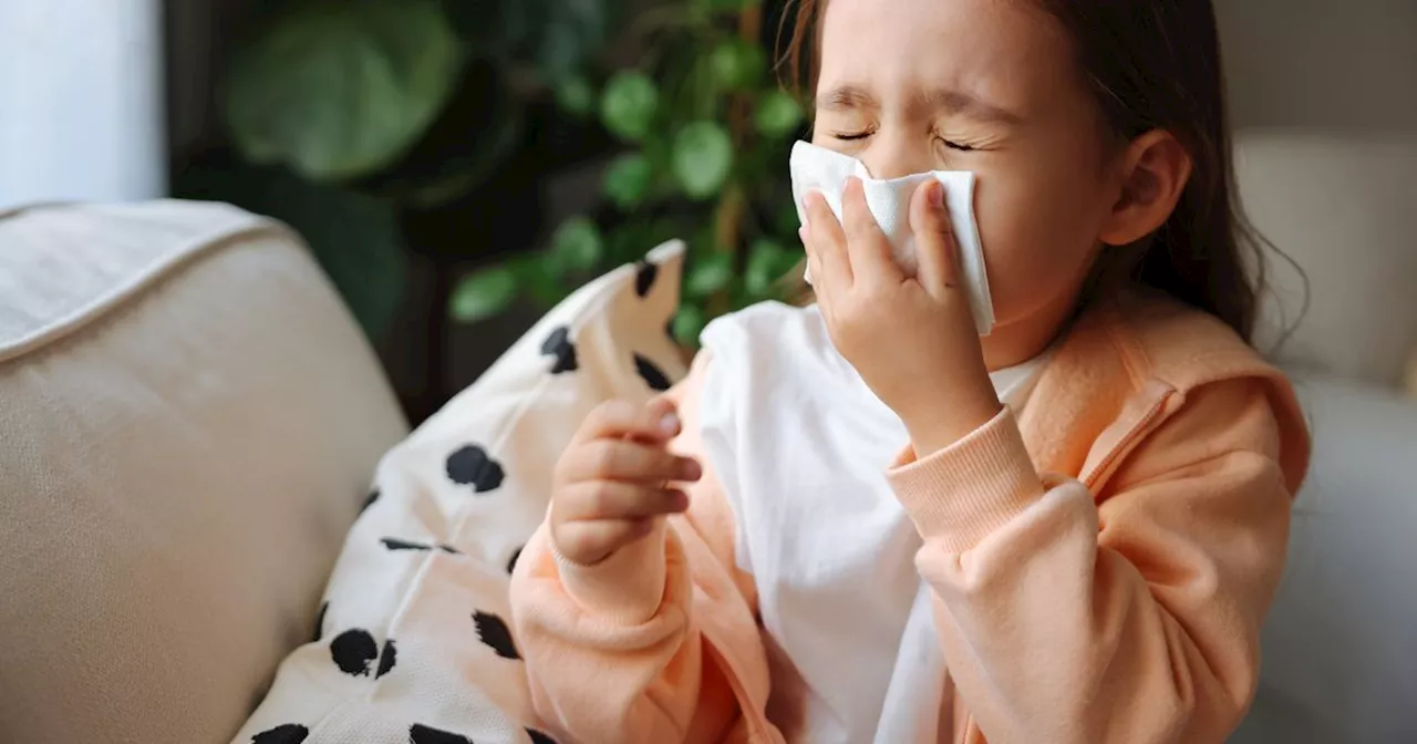 This 1 Cheap Remedy Could Stop You From Catching Your Kid's Cold