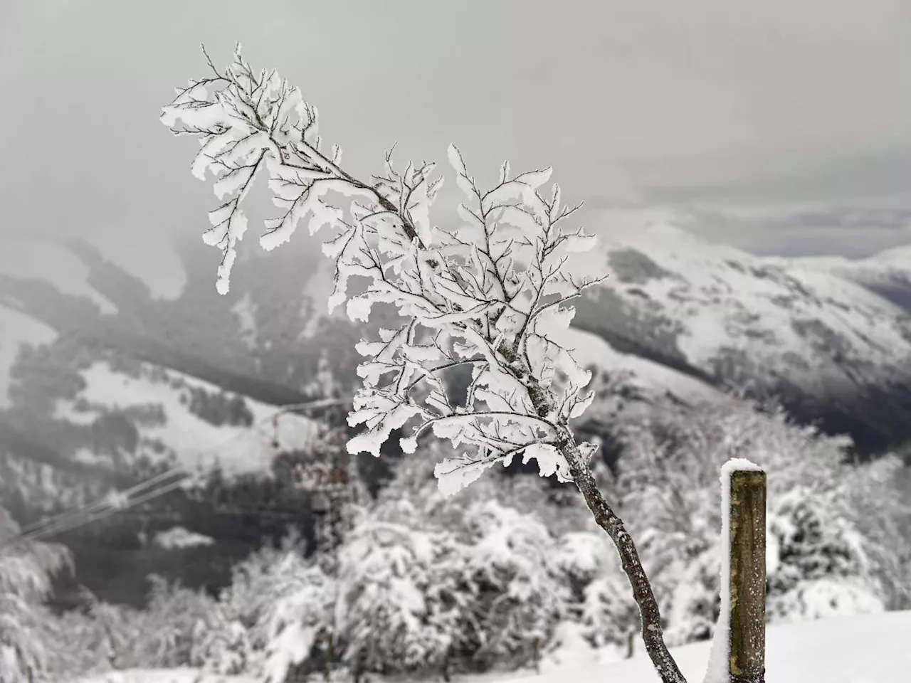 Grande Crollo Termico in Italia: Inverno Rigido in Arrivo