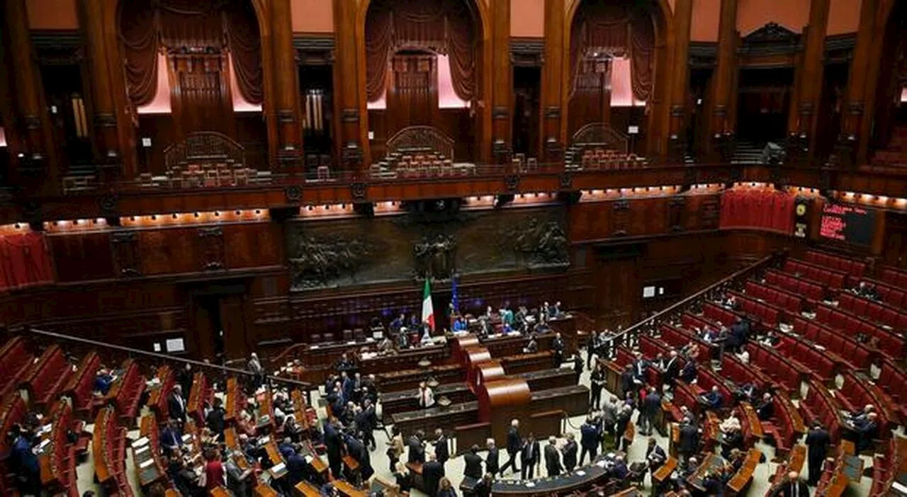 Le leggi del Parlamento: tra le proposte più bizzarre e un ruolo governativo dominante