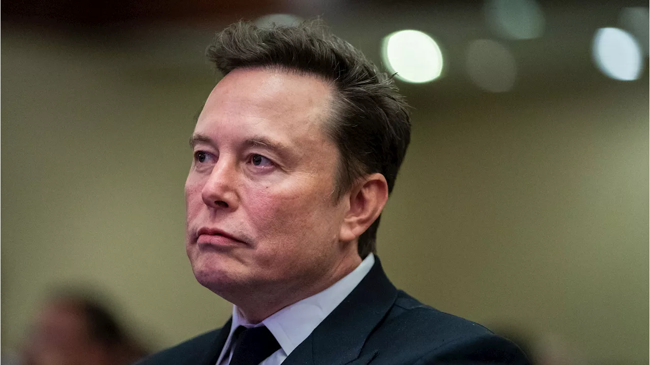 Elon Musk, la sombra alargada de Trump en Europa