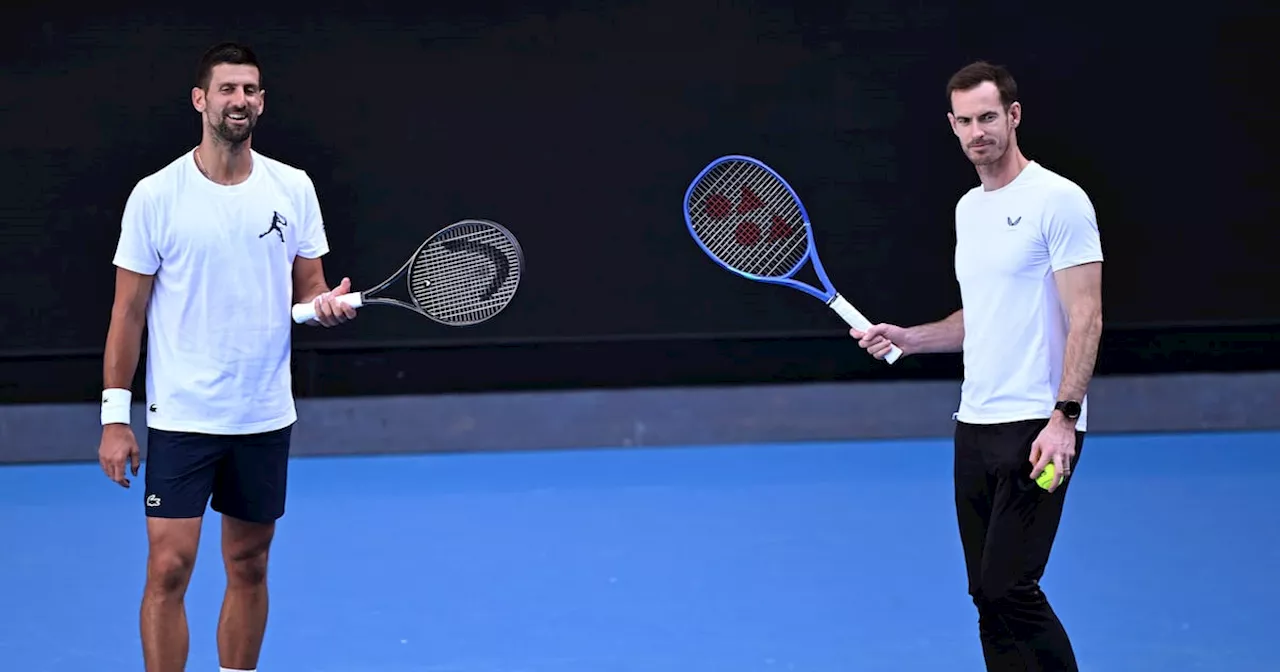 Djokovic and Alcaraz Train with Murray at Australian Open