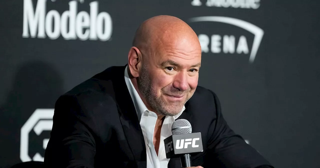 Meta Adds UFC Chief and Trump Ally to Board